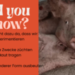 ausb. did you know