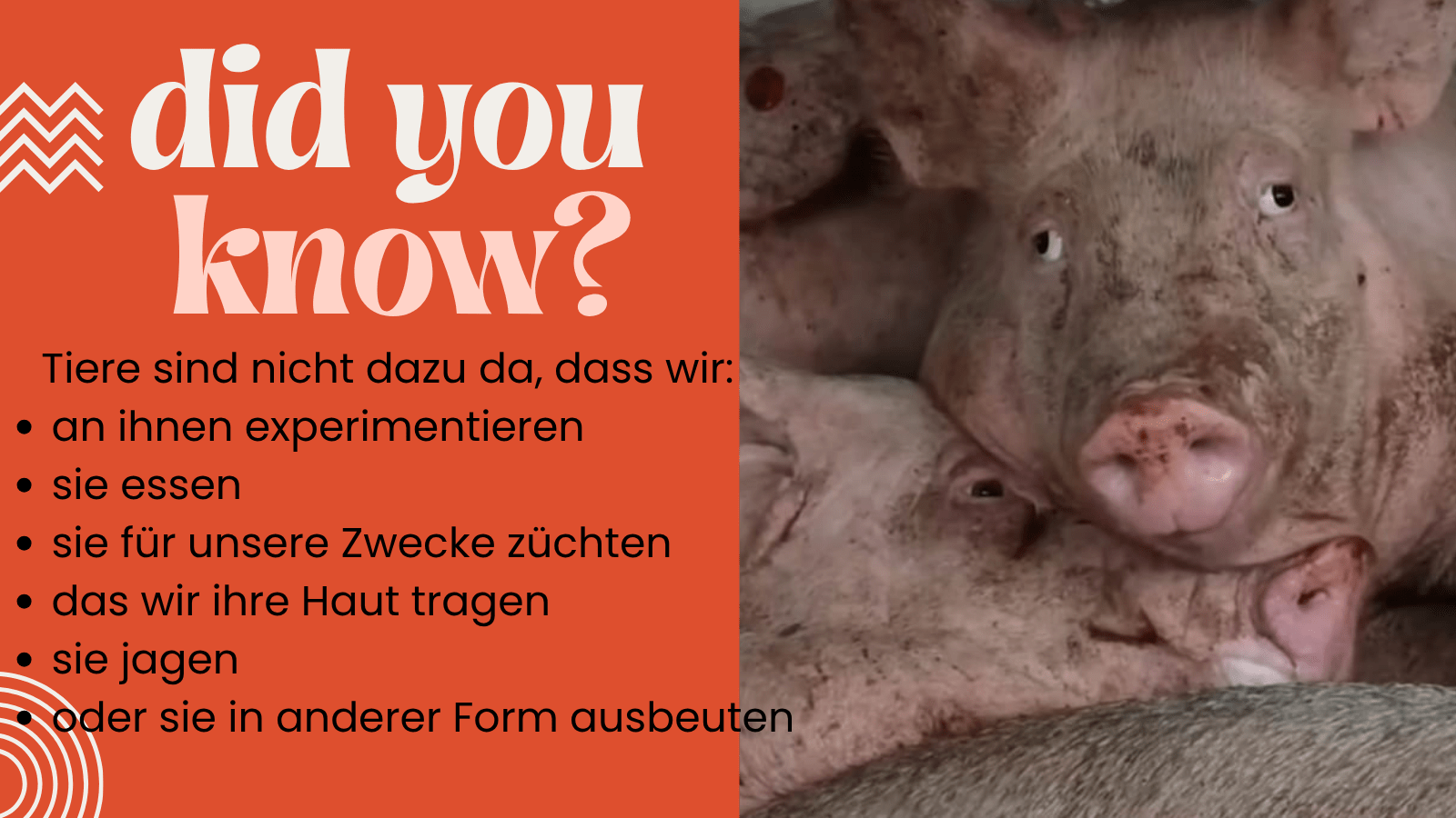 ausb. did you know